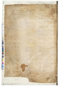 ACMo O.II.11 - pag. 299v