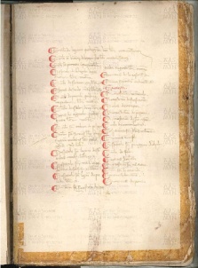ACMo O.V.32 - pag. 101r