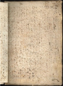 ACMo O.V.32 - pag. contropiatto posteriore