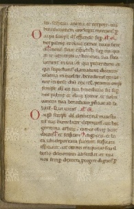 046v