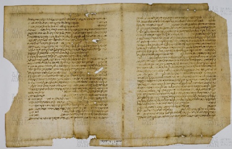 Pergamene ebraiche ACAMO 2-63, s.s - 11.1