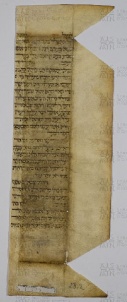 Pergamene ebraiche ACAMO 2-63, s.s - 29.2a