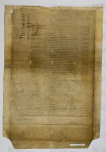 Pergamene ebraiche ACAMO 2-63, s.s - 44.1b
