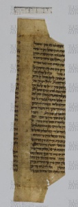 Pergamene ebraiche ACAMO 2-63, s.s - no number 01b