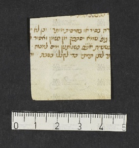 Pergamene ebraiche ACMO 1-103, App. 1-3 - pag. 100.3a