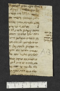 Pergamene ebraiche ACMO 1-103, App. 1-3 - pag. 101.3a