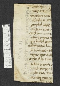 Pergamene ebraiche ACMO 1-103, App. 1-3 - pag. 101.4a