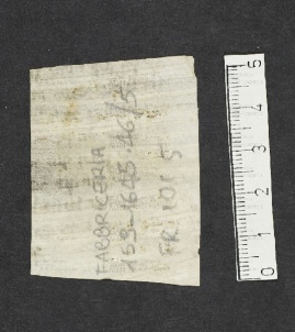 Pergamene ebraiche ACMO 1-103, App. 1-3 - pag. 101.5b