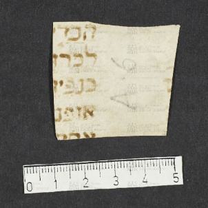 Pergamene ebraiche ACMO 1-103, App. 1-3 - pag. 101.6a