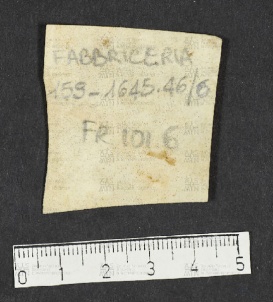 Pergamene ebraiche ACMO 1-103, App. 1-3 - pag. 101.6b