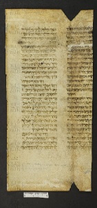 Pergamene ebraiche ACMO 1-103, App. 1-3 - pag. 40.2a