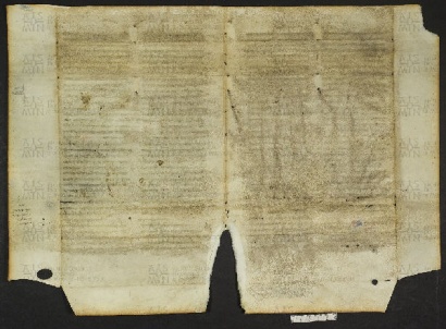 Pergamene ebraiche ACMO 1-103, App. 1-3 - pag. 48.1b