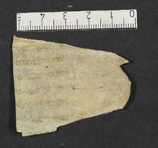 Pergamene ebraiche ACMO 1-103, App. 1-3 - pag. 63.4b