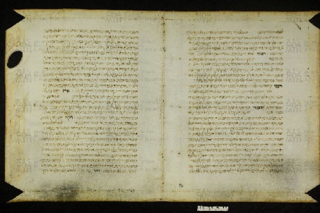 Pergamene ebraiche ACMO 1-103, App. 1-3 - pag. 77a