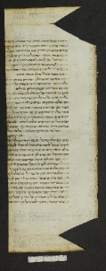 Pergamene ebraiche ACMO 1-103, App. 1-3 - pag. 78.2a