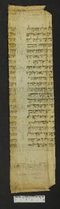 Pergamene ebraiche ACMO 1-103, App. 1-3 - pag. 79.2a