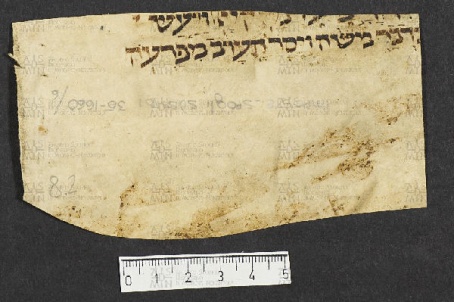 Pergamene ebraiche ACMO 1-103, App. 1-3 - pag. 8.2a