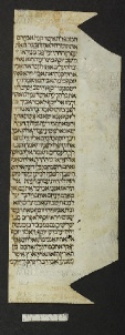 Pergamene ebraiche ACMO 1-103, App. 1-3 - pag. 88.2a