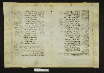 Pergamene ebraiche ACMO 1-103, App. 1-3 - pag. 90.1a