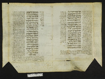 Pergamene ebraiche ACMO 1-103, App. 1-3 - pag. 90.2a