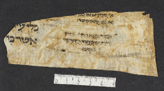 Pergamene ebraiche ACMO 1-103, App. 1-3 - pag. 95.2a