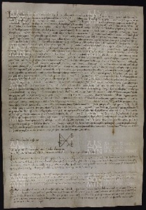 39 B.12.XXXIXr, Copia di detto privilegio, 1294, feb. 15