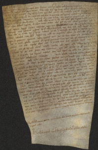 209 C.25.CCIXr, Altro originale di detta investitura