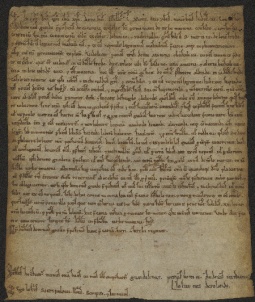 40 D.8.XXXVIr, Investitura fatta dal Capitolo a favore dei fratelli Giovanni e Rachinaldo e di Martino da Fredo, Modena, 1118, nov. 11
