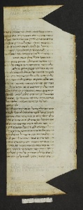 Pergamene ebraiche ACMO 1-103, App. 1-3 - pag. 78.2a