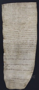 4 B.5.IVr, Investitura fatta da Varino vescovo a favore di Daiberto e Lintefredo da Cittanova, Cittanova, 1003, lug. 29