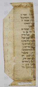 Pergamene ebraiche ACAMO 2-63, s.s - 16.2a