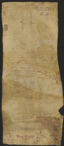 141 C.12.CXLIv, Donazione fatta da Auria da Bologna, a favore di Wiberto vescovo, Bologna, 1051, ott. 28