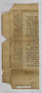Pergamene ebraiche ACAMO 2-63, s.s - 58.2a