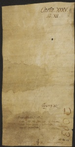 39 D.7.XXXVv, Rinnovazione d'investitura fatta da Dodone vescovo a favore di Giovanni da Cortatone e di Viviano, Modena, 1117, feb. 24