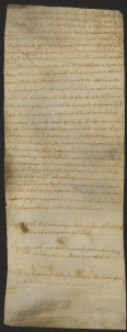 172 C.18.CLXXIIr, Donazione fatta da Vivo, Agimone e Liuzo del Finale, a favore di Eriberto vescovo, Massa, 1062, mag. 16
