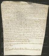 181 E.6.CLXr, Investitura spedita da Ildeprando cardinale ad Ariento e Giovanni da Porcile, Modena, 1156, ago. 8