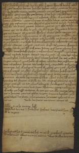 91 D.17.LXXXIVr, Investitura fatta dal Capitolo a favore di Geminiano da Fredo, Modena, 1134, nov. 24