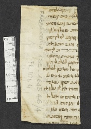 Pergamene ebraiche ACMO 1-103, App. 1-3 - pag. 101.4a