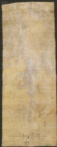 187 E.8.CLXVIv, Transunto dell'investitura precedente, 1251, feb. 7