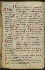 141v
