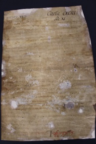 193 C.22.CXCIIIv, Acquisto fatto da Martino Caxarino da Canetolo di una pezza di terra vendutagli da Pietro Carzalino de loco Cabrioni e sua moglie, Cabrione, 1074, giu. 29