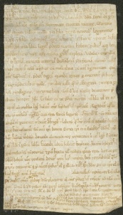 194 E.9.CLXXIIIr, Rinnovazione d'investitura spedita da Enrico vescovo a Martino de Valle, Modena, 1158, giu. 12