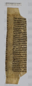 Pergamene ebraiche ACAMO 2-63, s.s - no number 01b