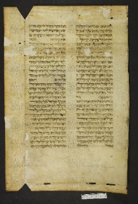 Pergamene ebraiche ACMO 1-103, App. 1-3 - pag. 40.1a