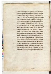 ACMo O.II.11 - pag. 137v