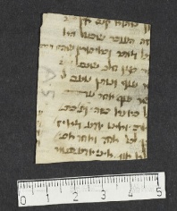 Pergamene ebraiche ACMO 1-103, App. 1-3 - pag. 101.5a