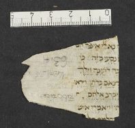 Pergamene ebraiche ACMO 1-103, App. 1-3 - pag. 63.4a