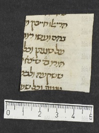 Pergamene ebraiche ACMO 1-103, App. 1-3 - pag. 84.4a
