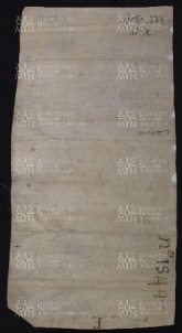 30 B.2.XXXv, Investitura fatta da Ildeprando vescovo a favore di Martino e di Lupo da Isola, Modena, 991, mag.