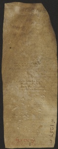 128 C.9.CXXVIIIv, Donazione fatta da Ingeza, Maria e Rosperga da Baggiovara alla chiesa di S. Geminiano e di Wiberto vescovo, Cittanova, 1044, ago. 10